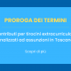 Contributi per tirocini extracurriculari finalizzati ad assunzioni - proroga dei termini